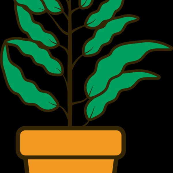 Plant 2 Thumbnail