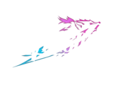 RIVERSIDE